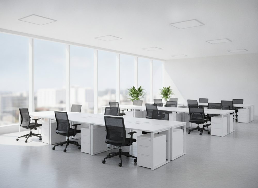A tidy, bright open-plan office with clean desks